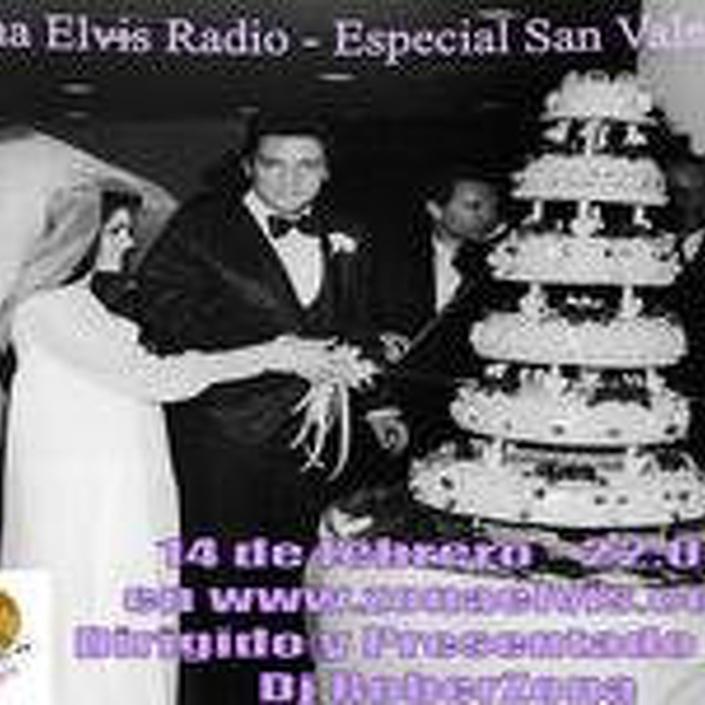 Los especiales de Zona Elvis