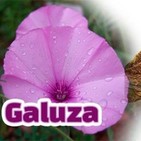 El Ángel de tu Salud - GALUZA