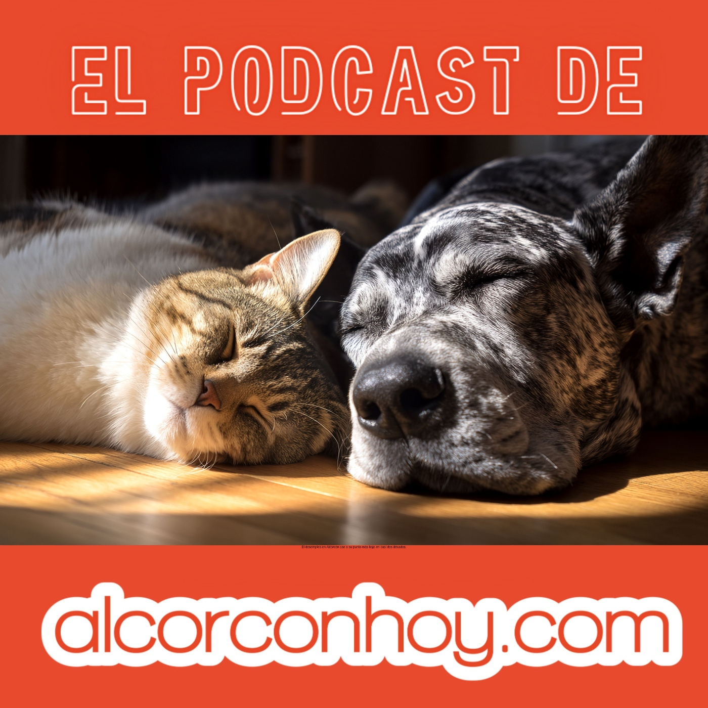 Feria de Voluntariado en Protección Animal en Alcorcón: podcast alcorconhoy episode artwork