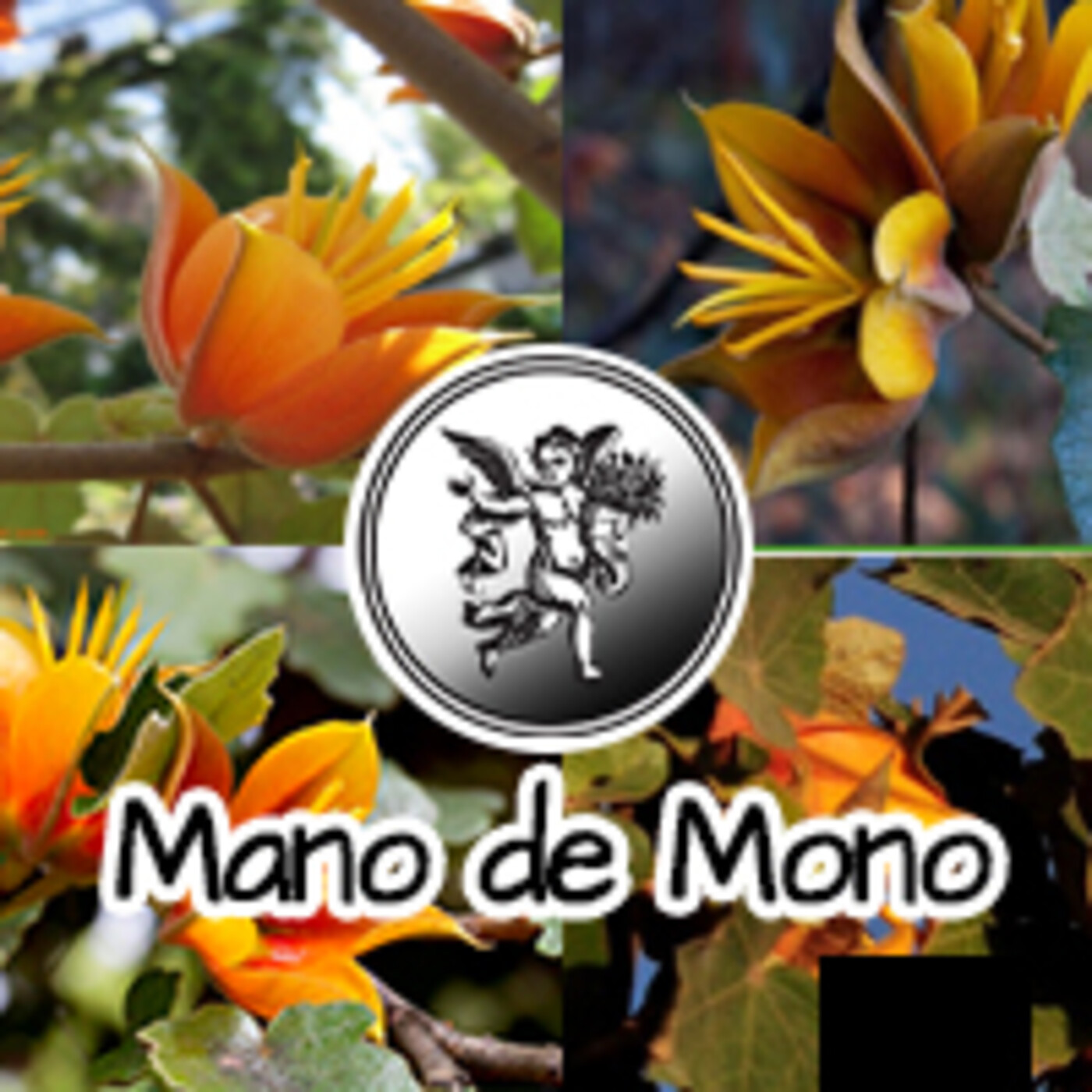 El Ángel de tu Salud - MANO DE MONO **** episode artwork