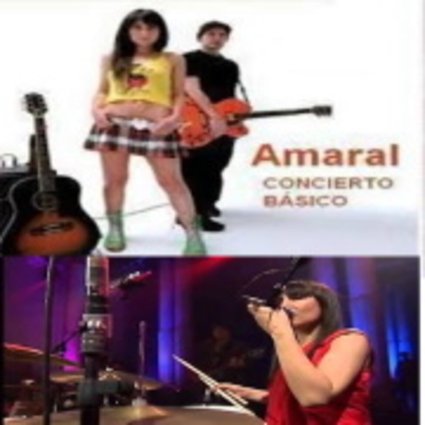 Amaral, Básico 40, Circulo de Bellas Artes, Madrid en 2008 episode artwork