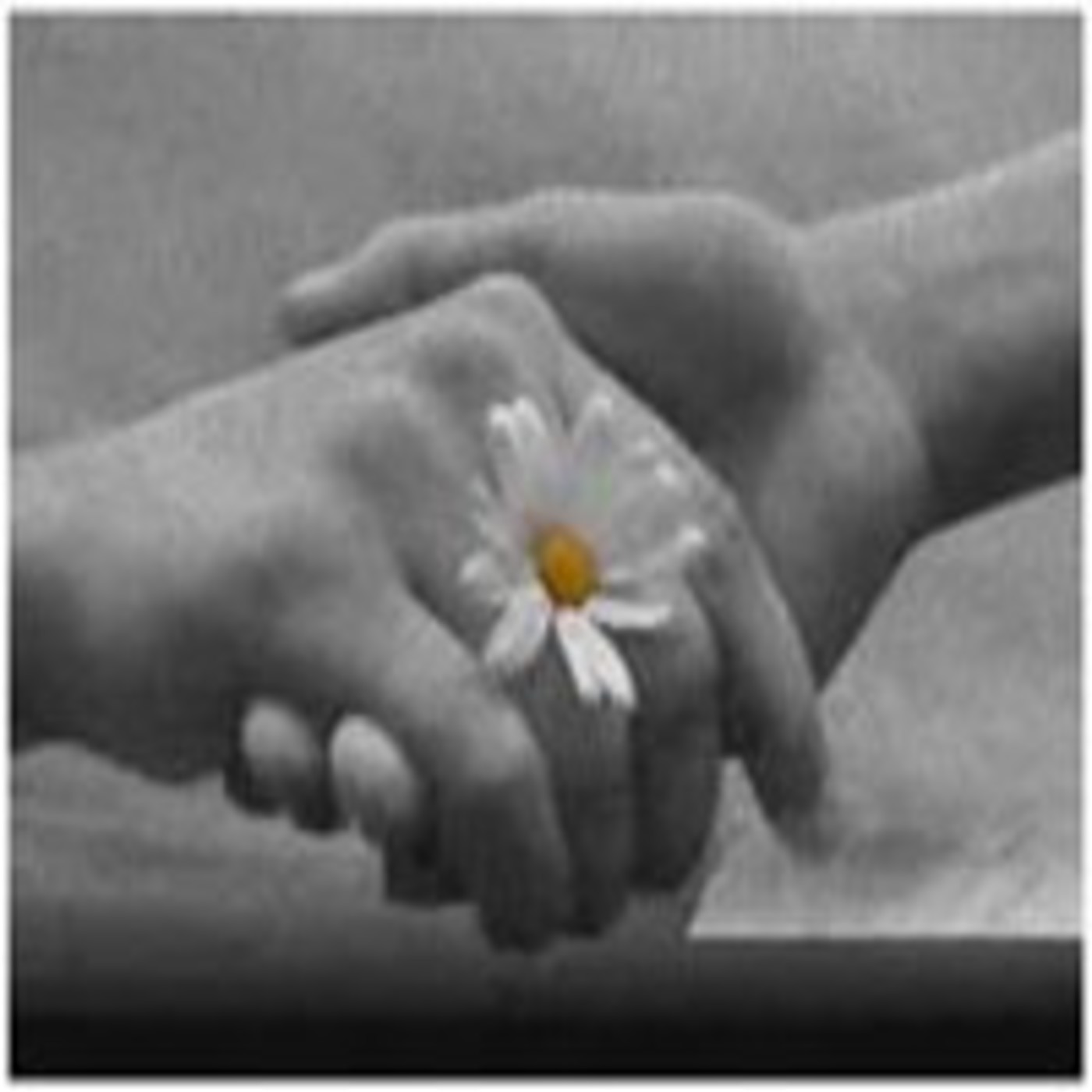 Podcast Audio Lecturas Nerim