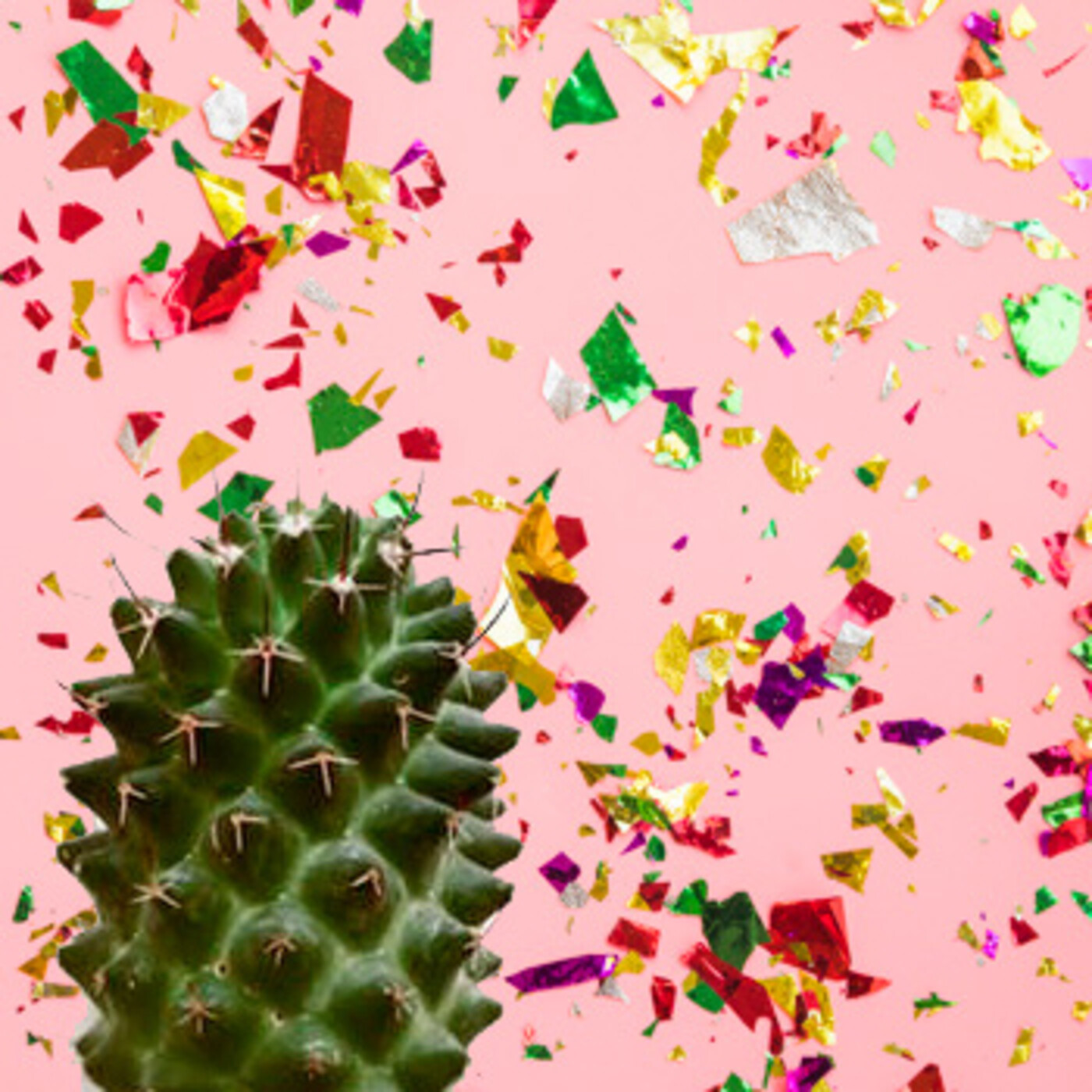 Cactus Confetti