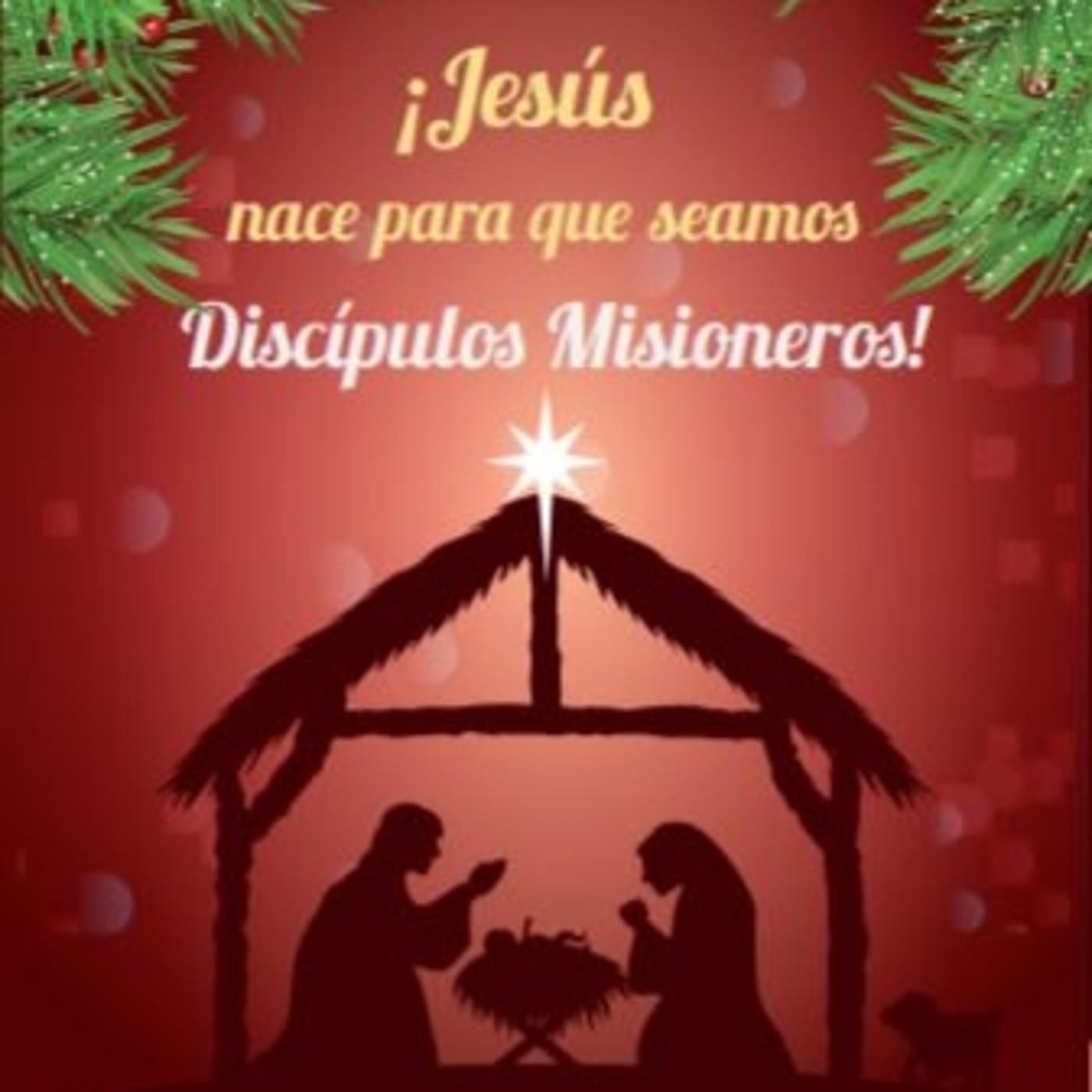 Novena de Navidad 2017