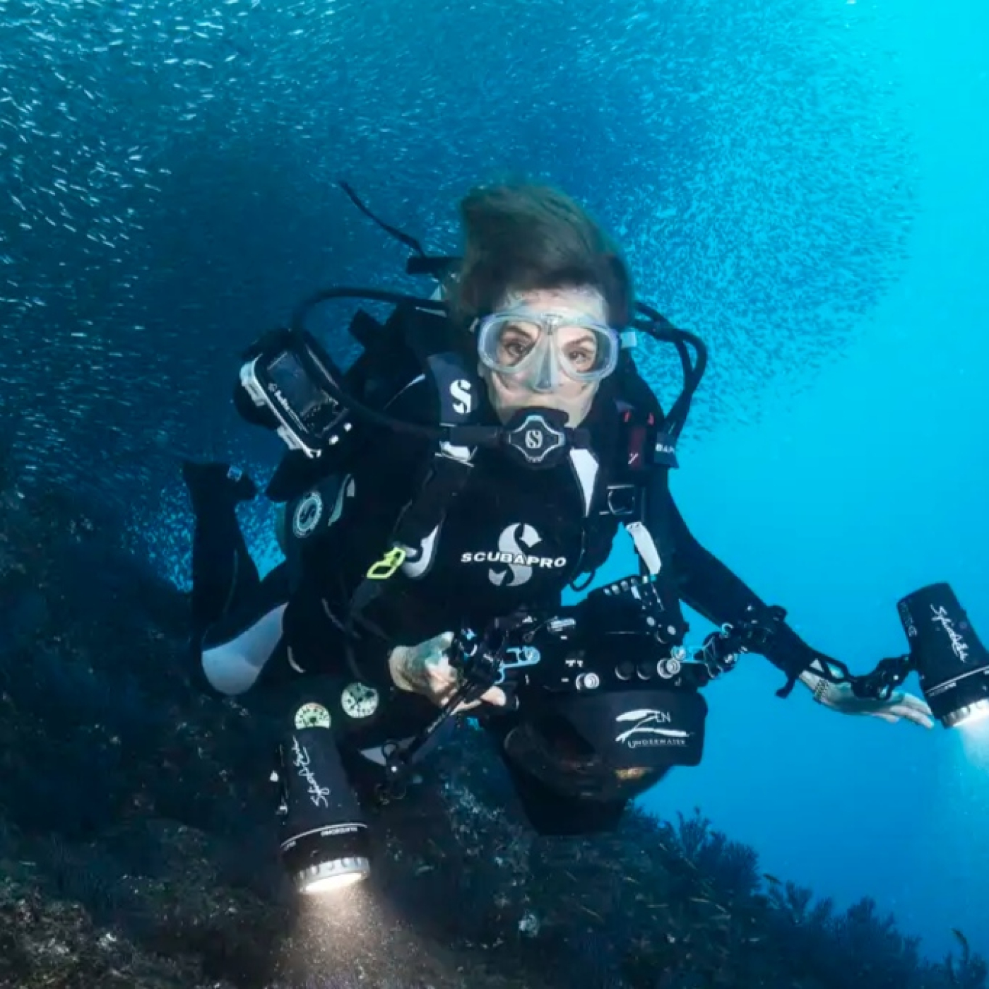 Sylvia Earle, toda una vida dedicada a la protección de los océanos episode artwork