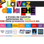 12 Elecciones: TLC Y SU IMPACTO ECONÓMICO, POLÍTICO Y SOCIAL