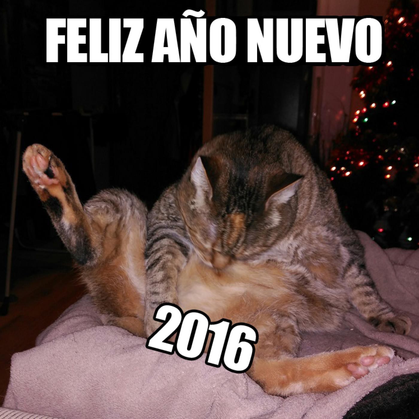 Serias Dudas