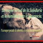 Reflexión "La mayor virtud de la Sabiduría es la humildad ante la Ignorancia"