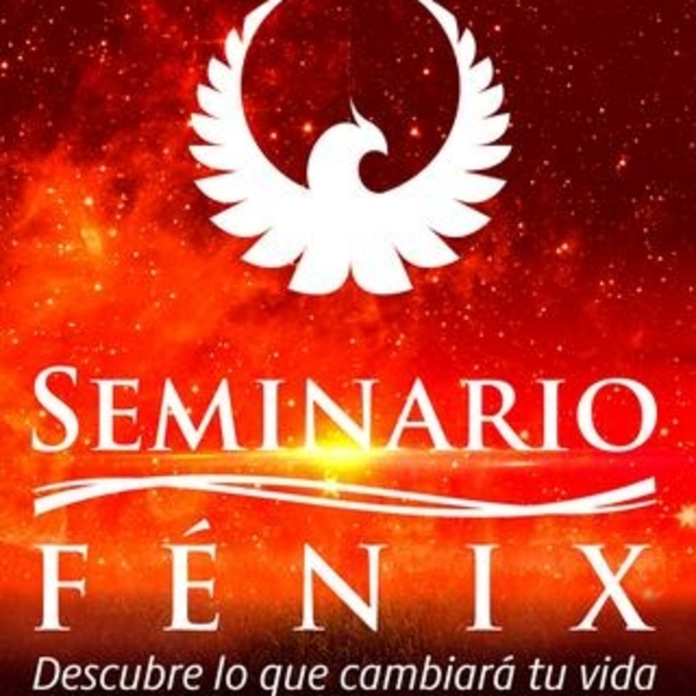 Seminario Fenix