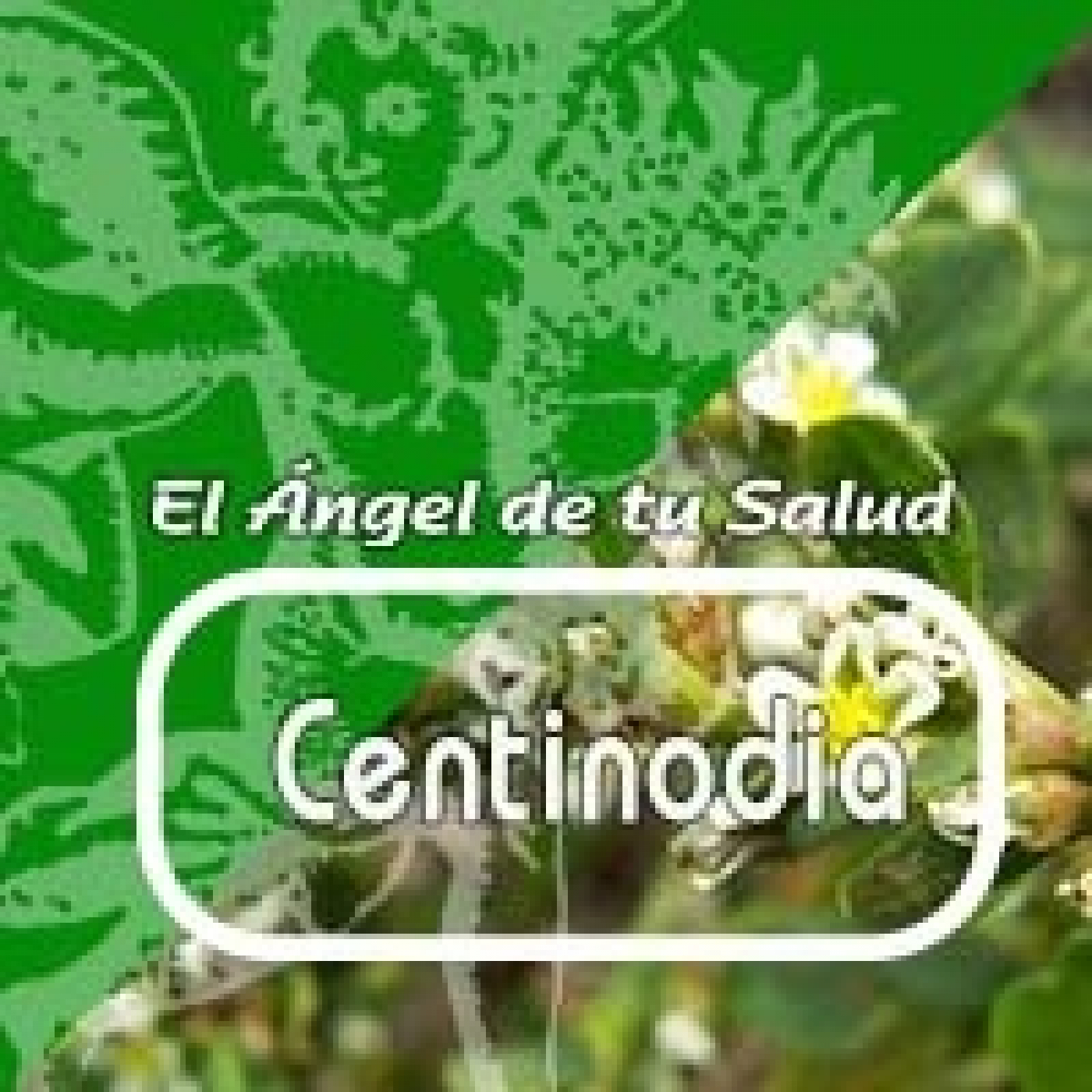 El Angel de tu Salud - Centinodia ****