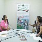 Programa Cosecha Radio transmitido el lunes 12 de enero de 2015.