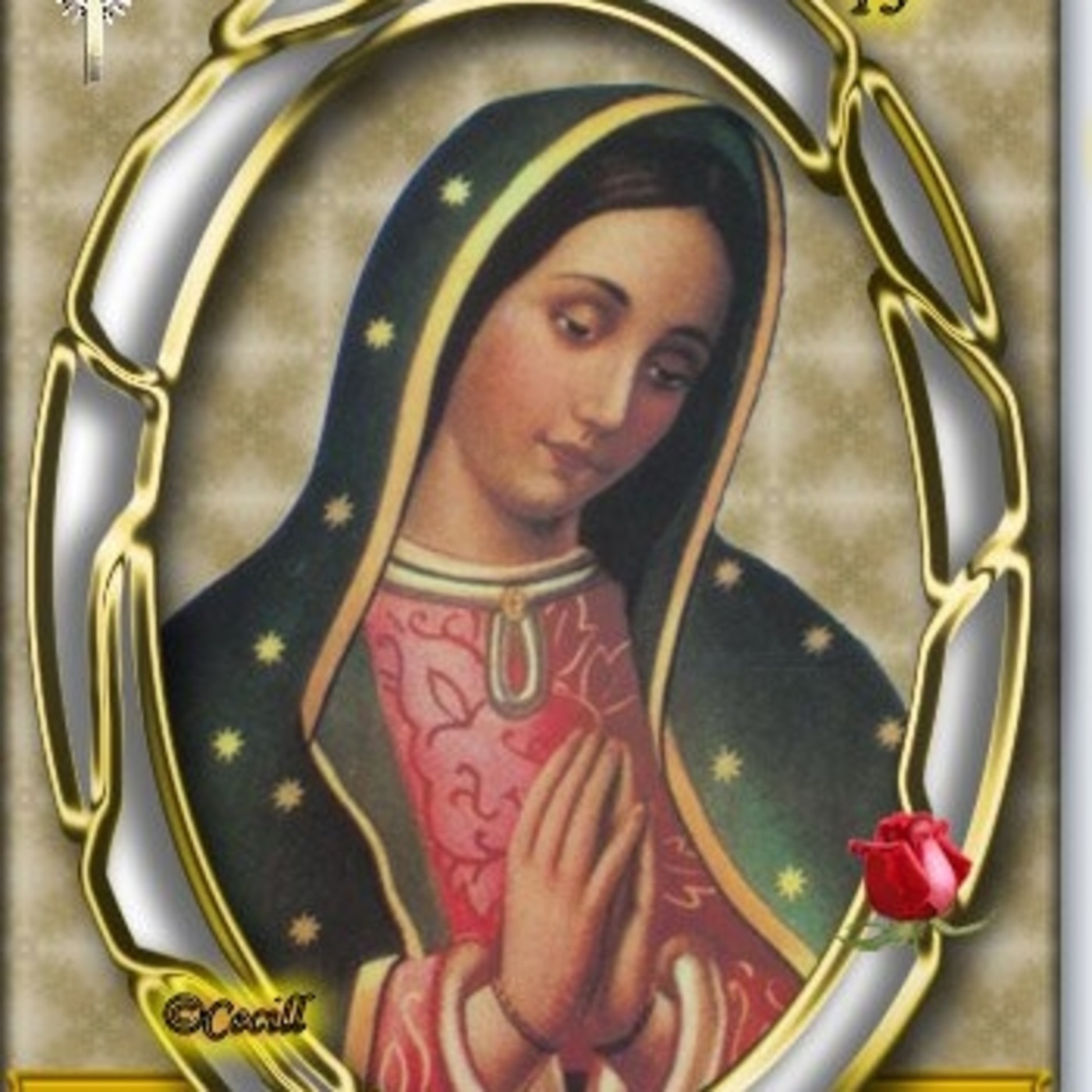 MANTO DE LA VIRGEN. MEDITACIÓN VIRTUDES