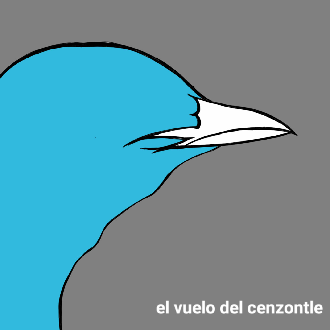 El Vuelo del Cenzontle