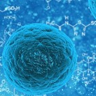 Coronavirus Meditación