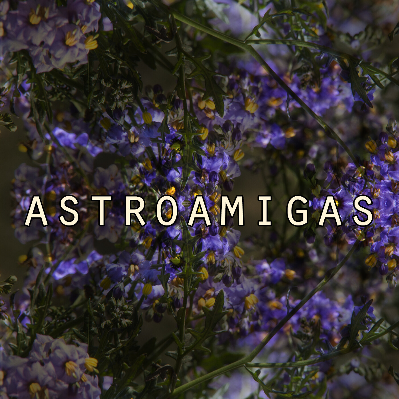 AstroAmigas!