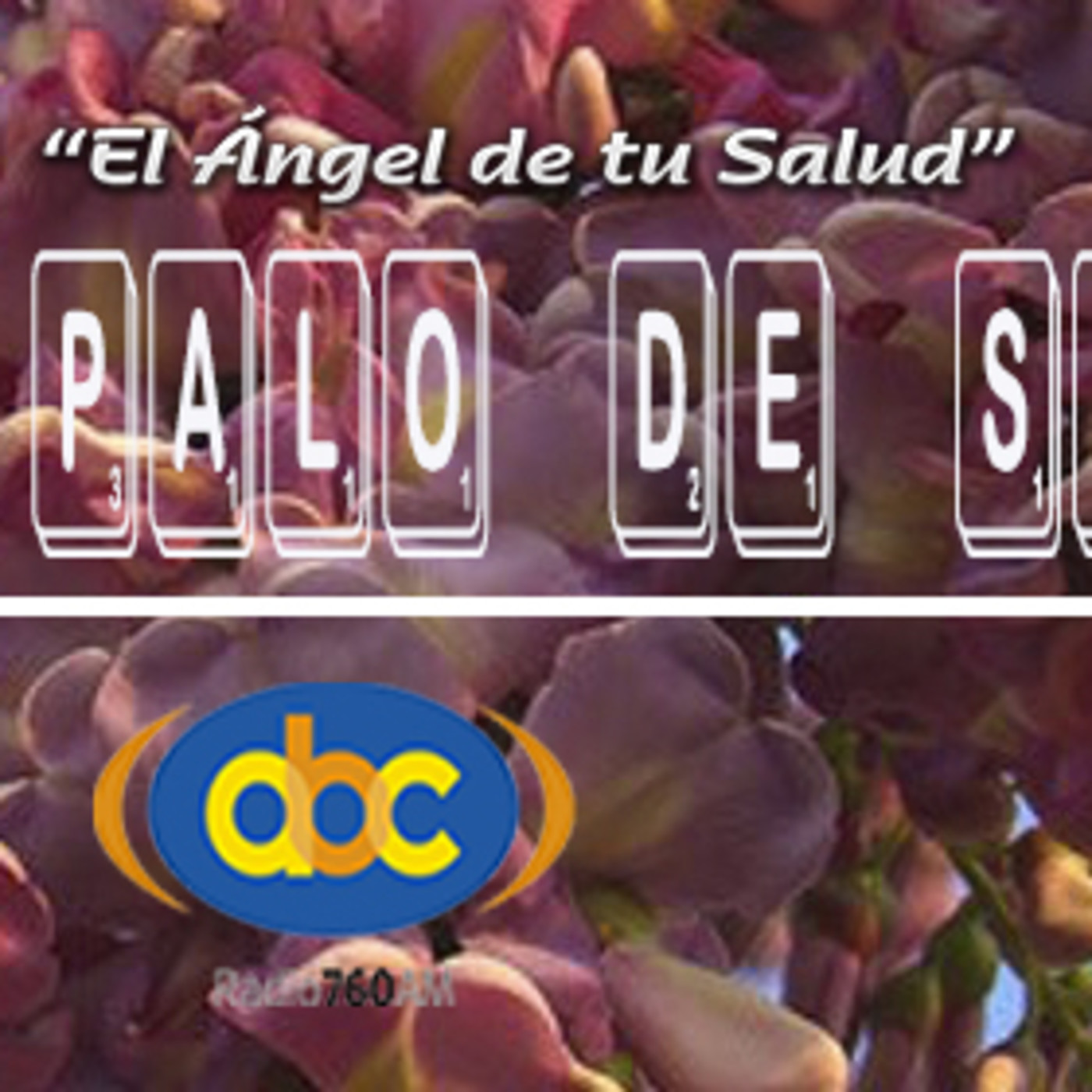 El Ángel de tu Salud - PALO DE SOL II episode artwork