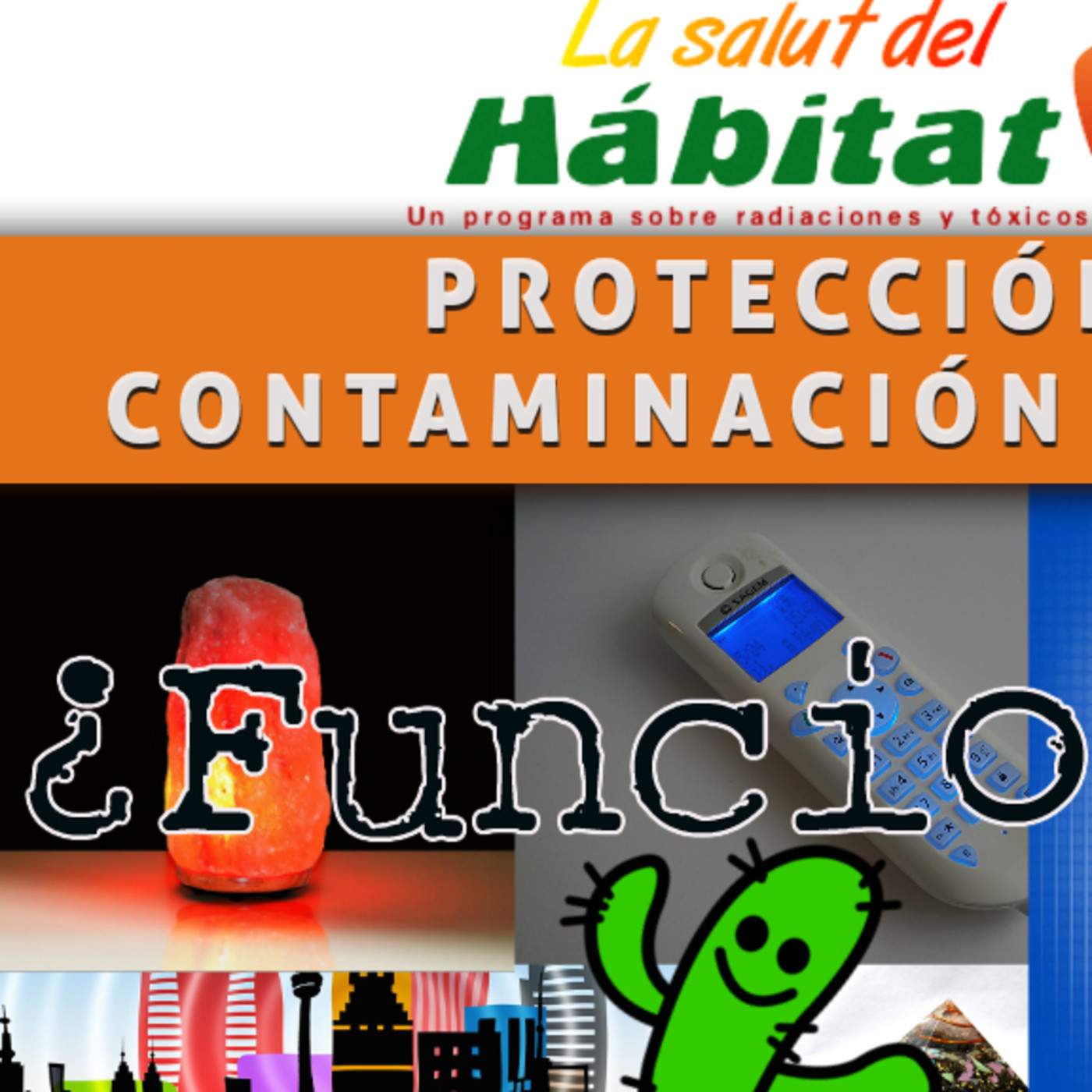 PROTECCION PERSONAL EN CONTAMINACION ELECTROMAGNETICA La salud del hábitat (Programa 28)