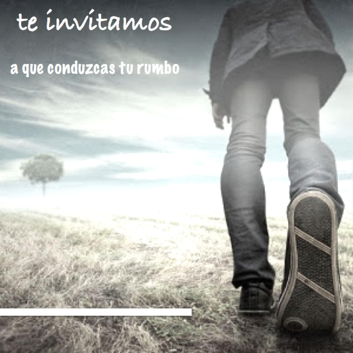 Descubre