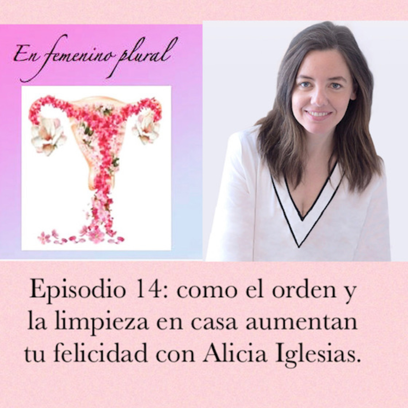 EN FEMENINO PLURAL