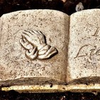 embed image