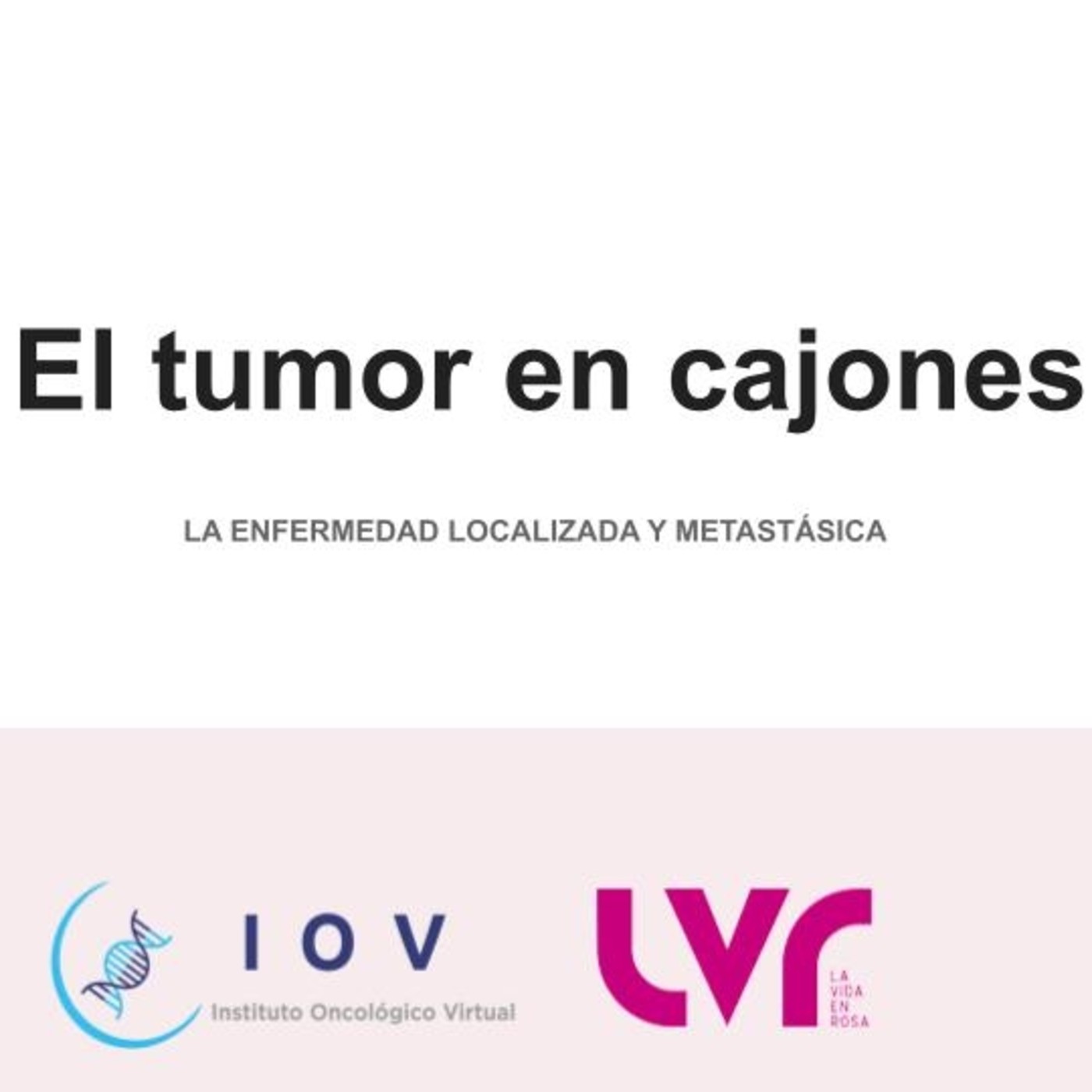 Revista La Vida en Rosa: ENTREVISTAS