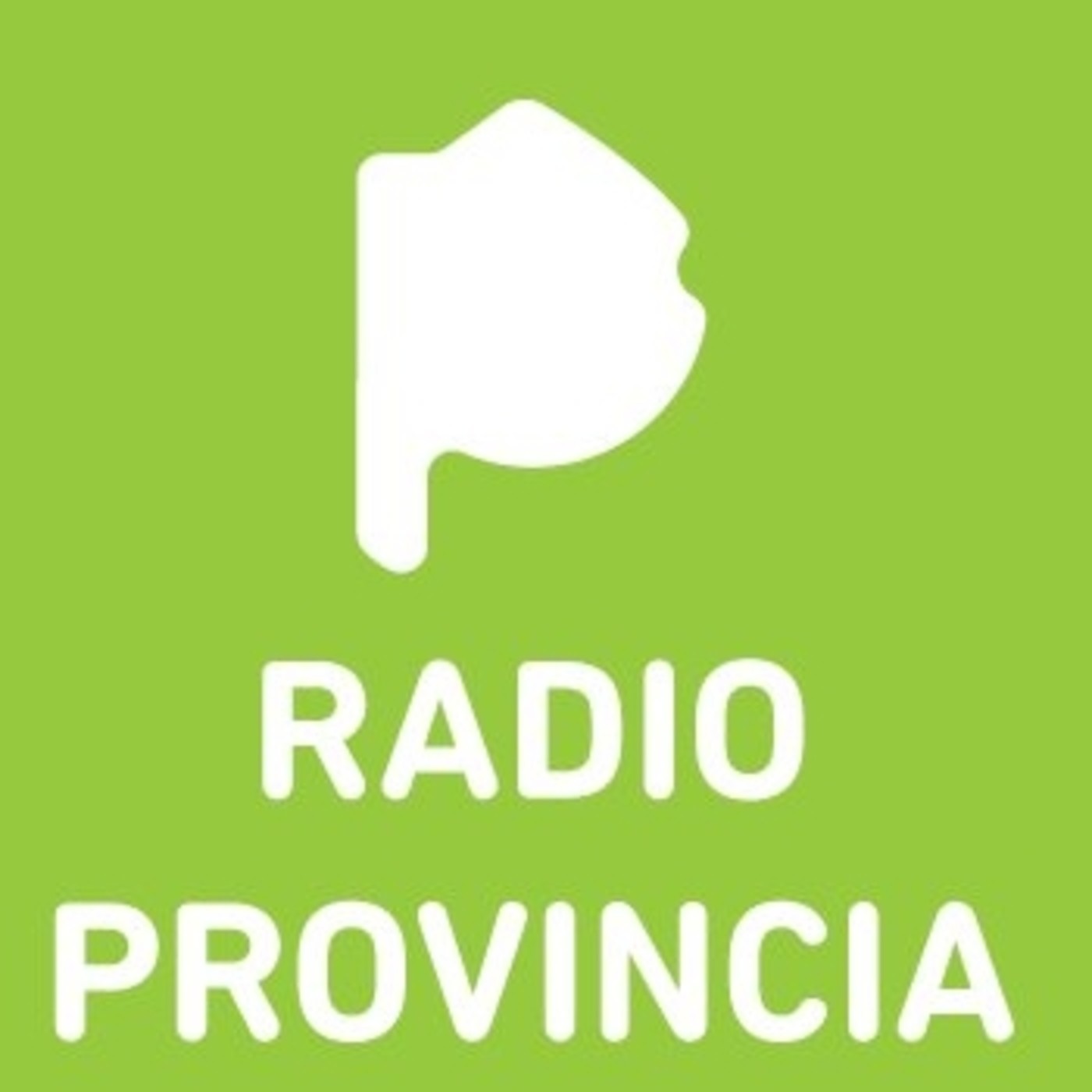 Radio Provincia 19_12_2016