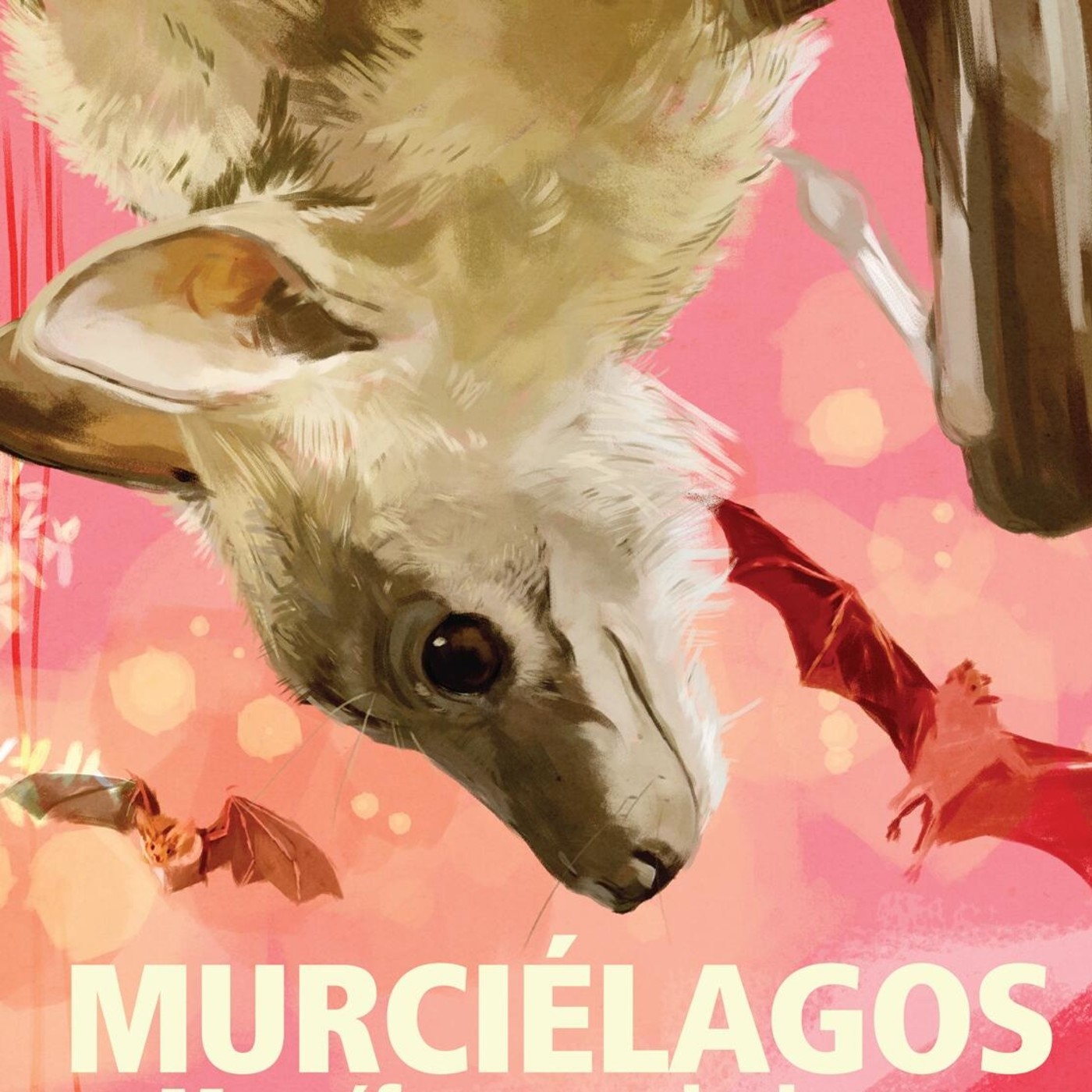 Murciélagos: ¡Por su buena reputación!