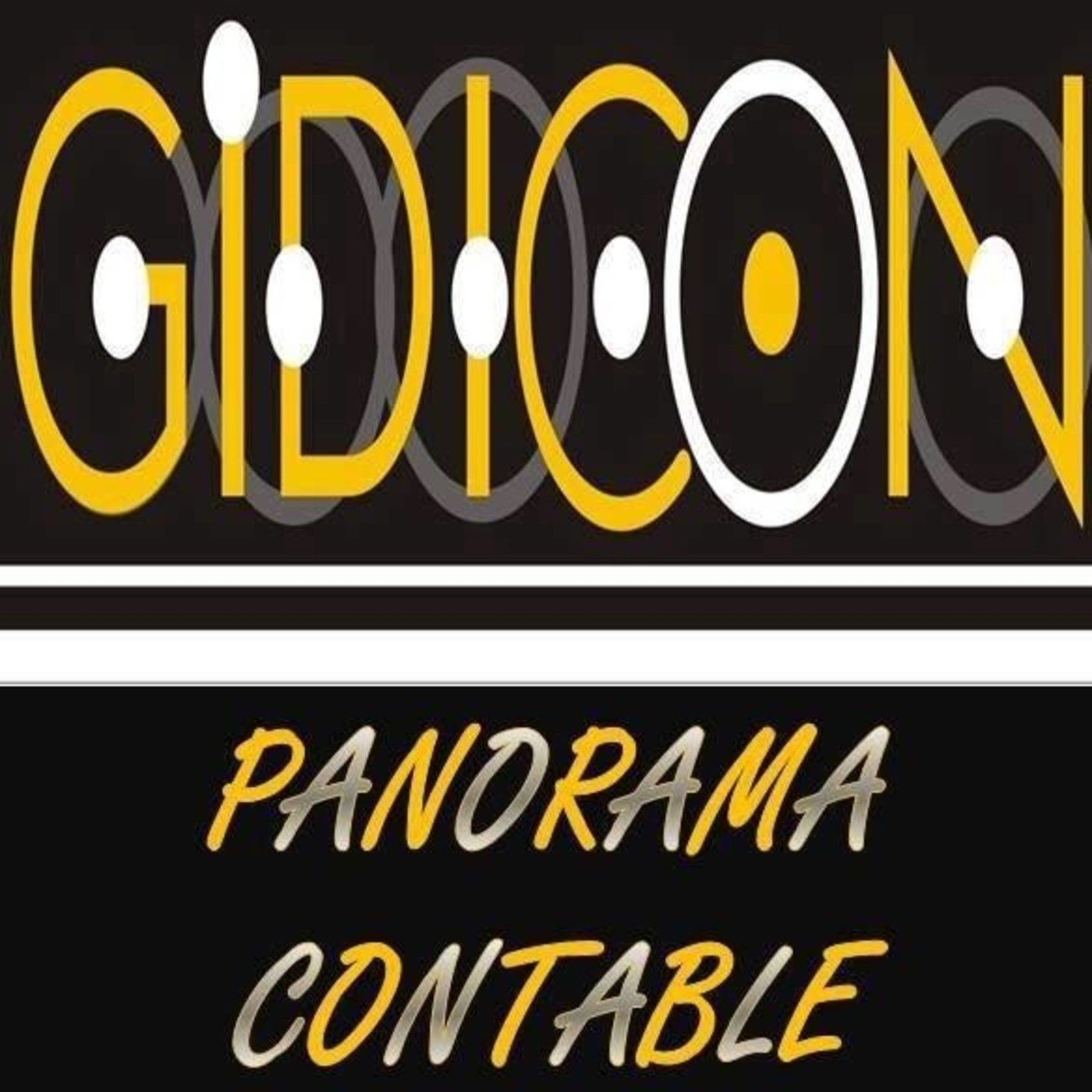 Panorama Contable