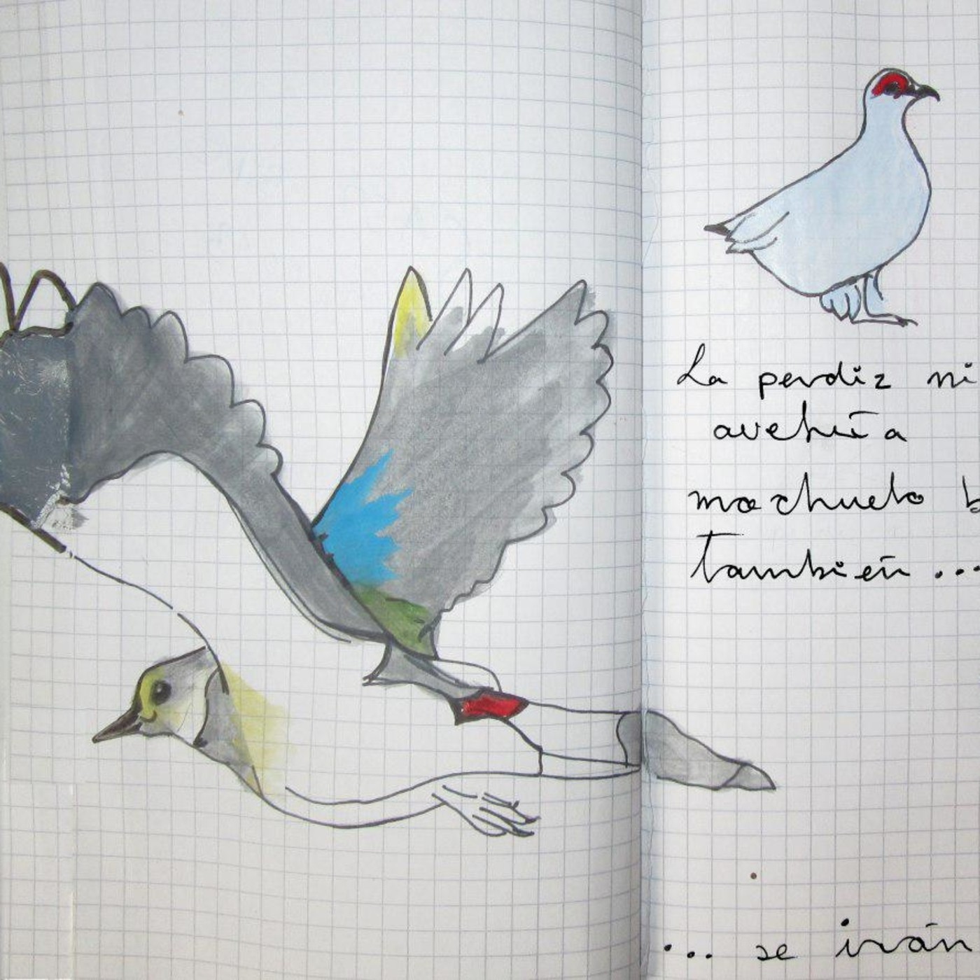 Semillas dispersas