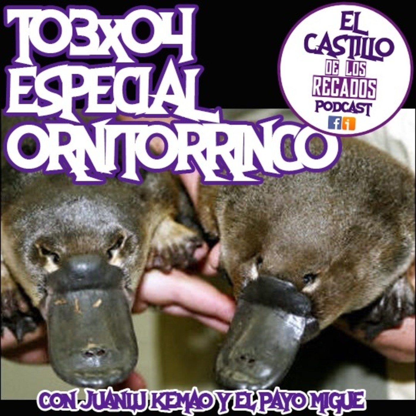 PETEUVE - EL CASTILLO DE LOS RECADOS