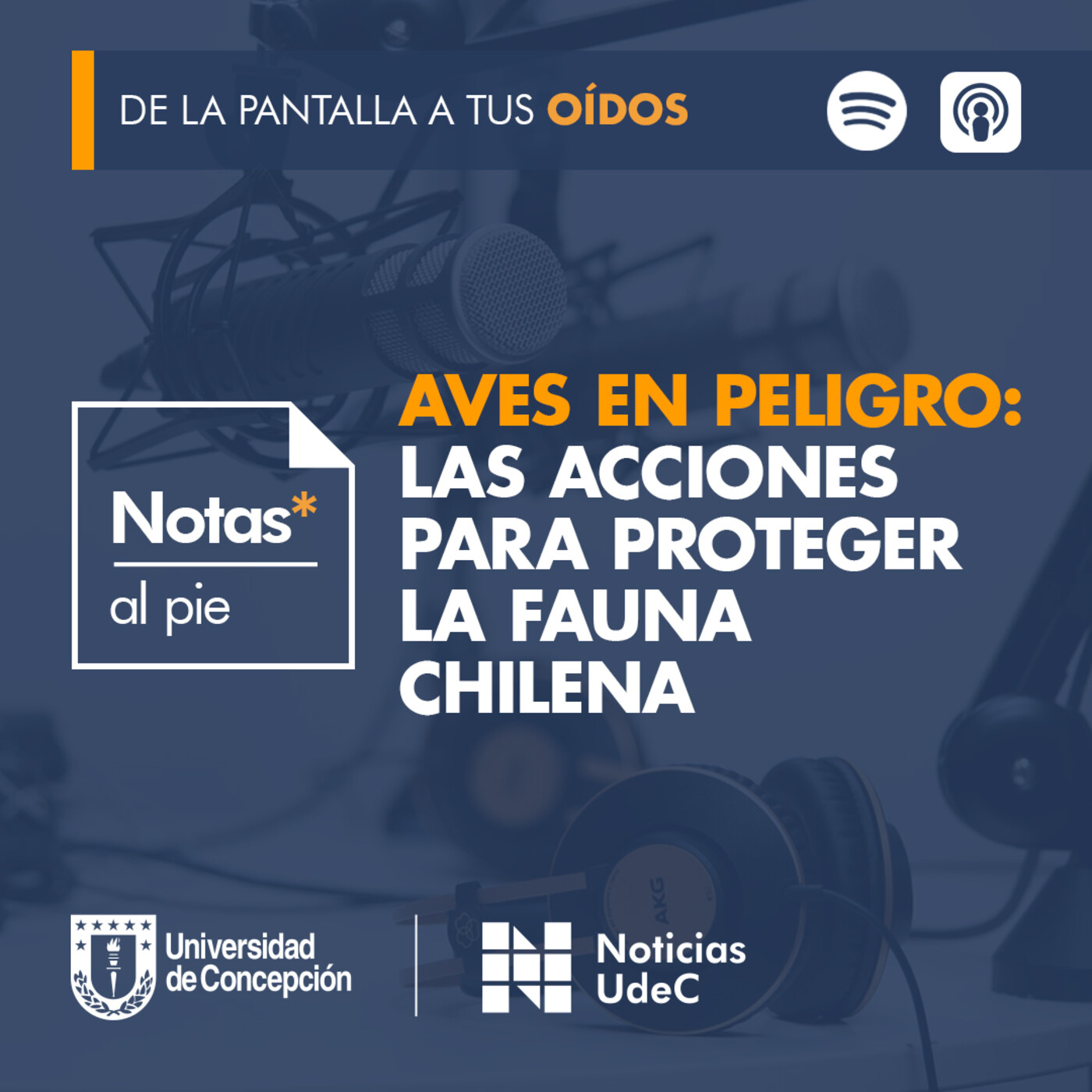 Notas al pie