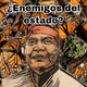 ¿Enemigos del estado?