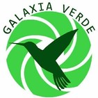 Galaxia Verde programa completo 24-06-2019