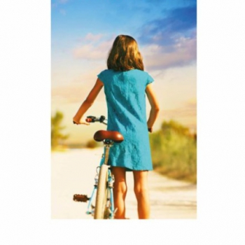 embed image