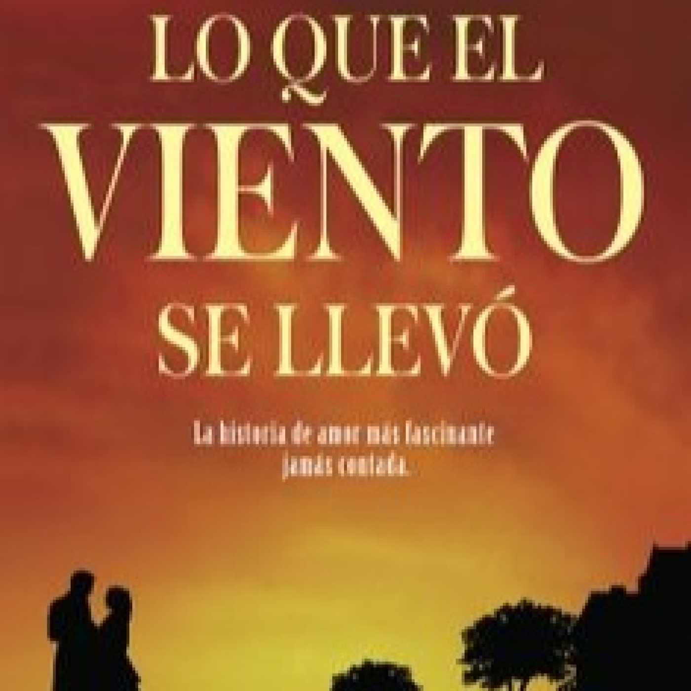 Disfrutando Leyendo
