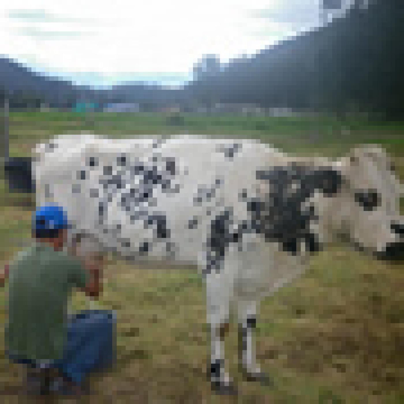EL CAMPO, UNA DESPENSA PARA DAR Y CONVIDAR