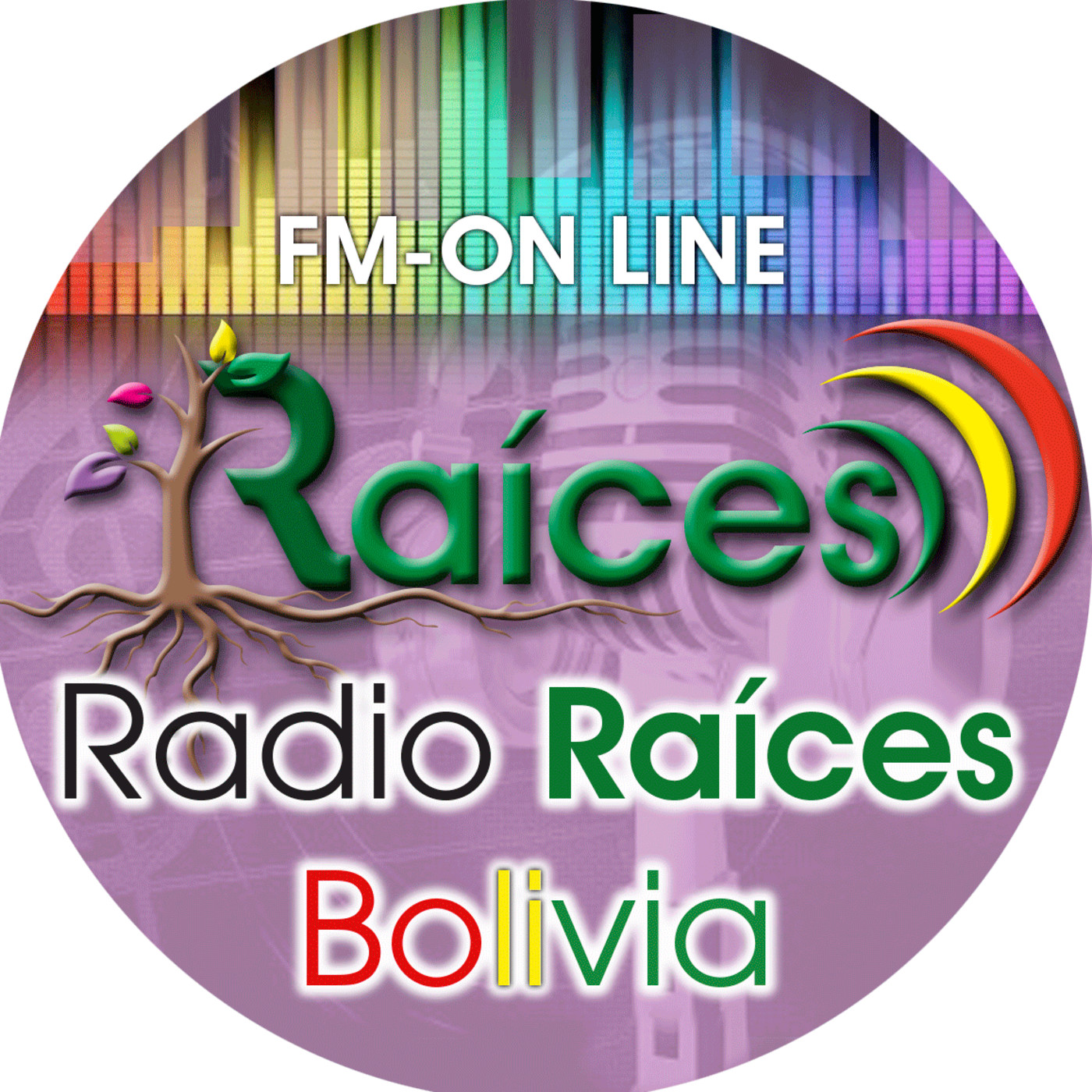 COMUNICACIÓN EN CASA POR RADIO RAÍCES
