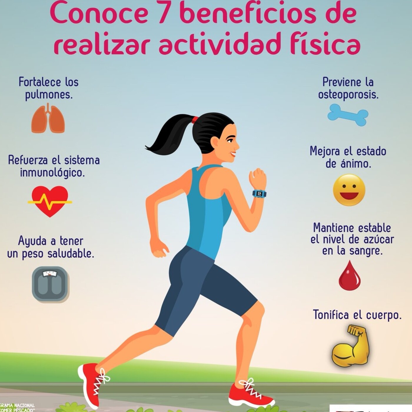 En Tren de Noticias