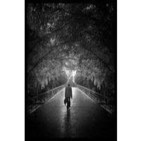 Historias Criminales (Cap.4º): Tras las huellas de Audrey