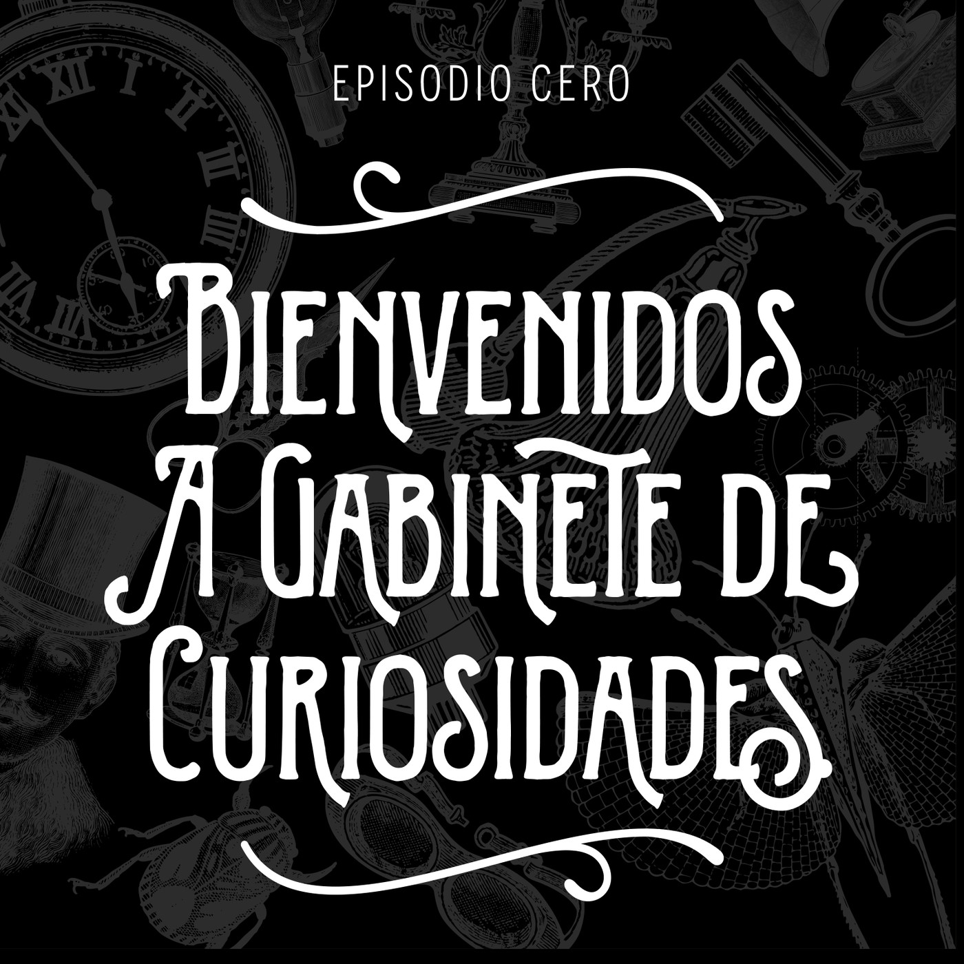 Gabinete de curiosidades