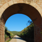 embed image