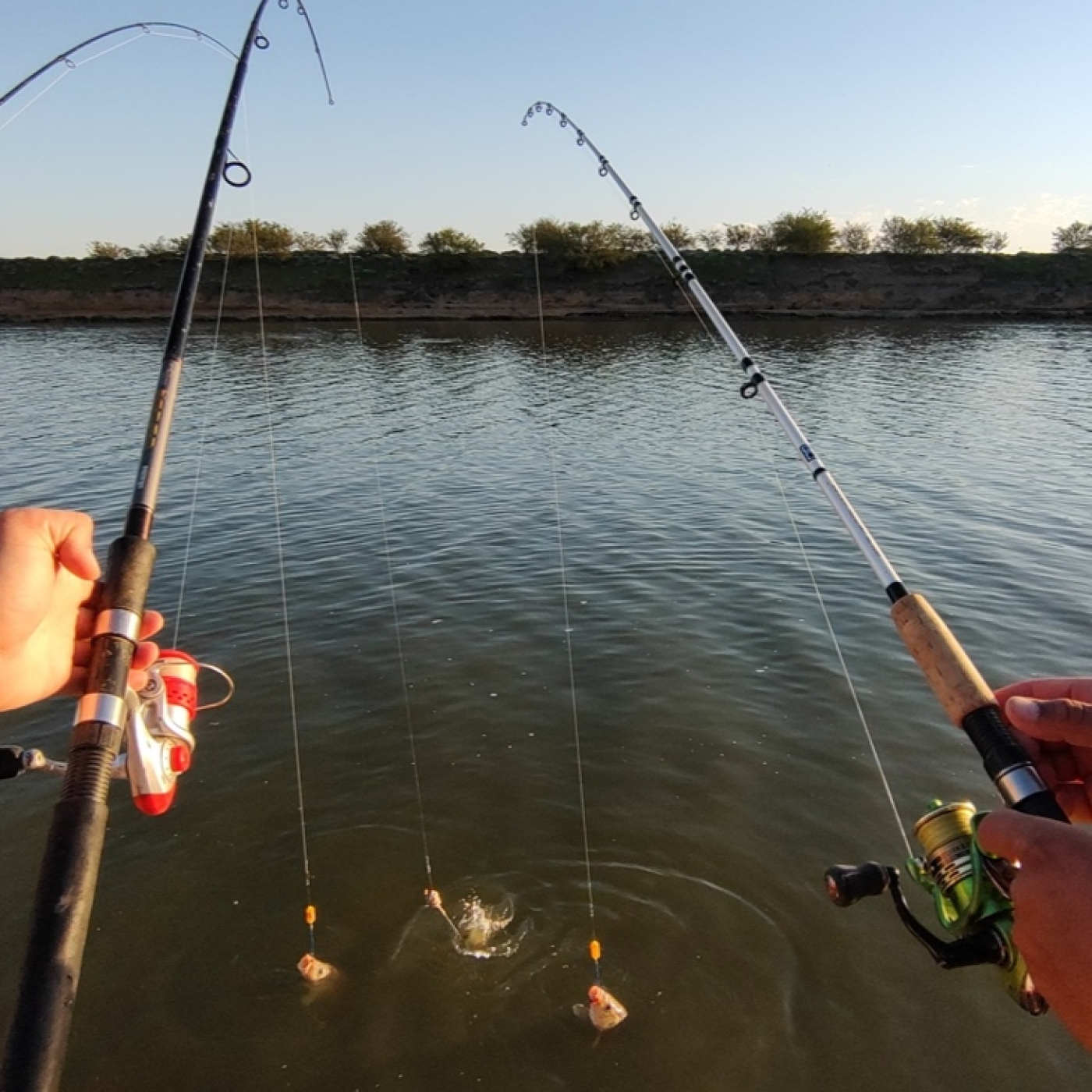 Planeta Pesca