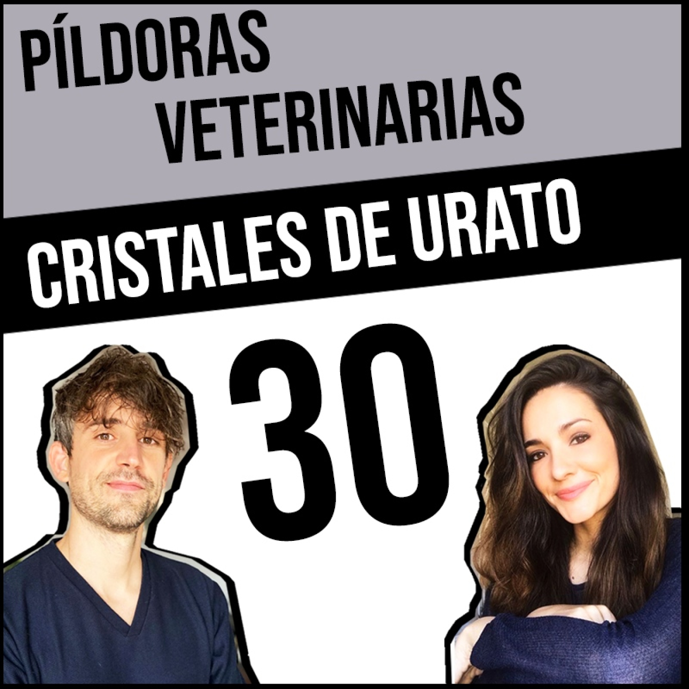 Píldoras Veterinarias