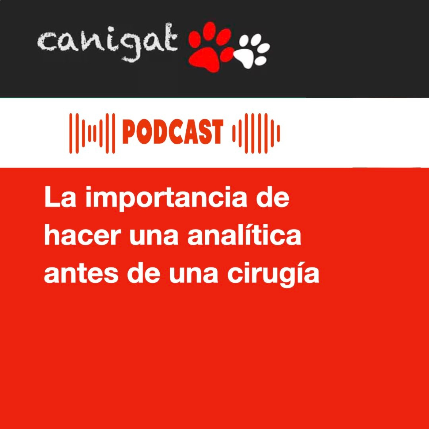 Consejos veterinarios de perros y gatos by canigat