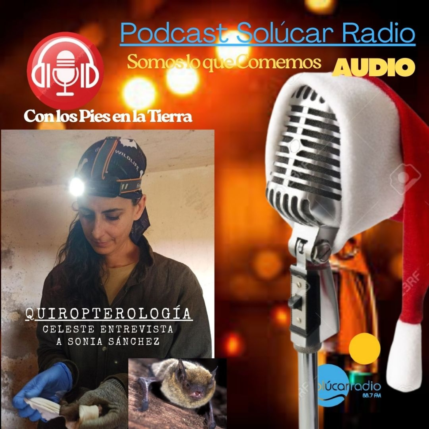 CON LOS PIES EN LA TIERRA *Sonia Sánchez habla de los MURCIÉLAGOS* episode artwork