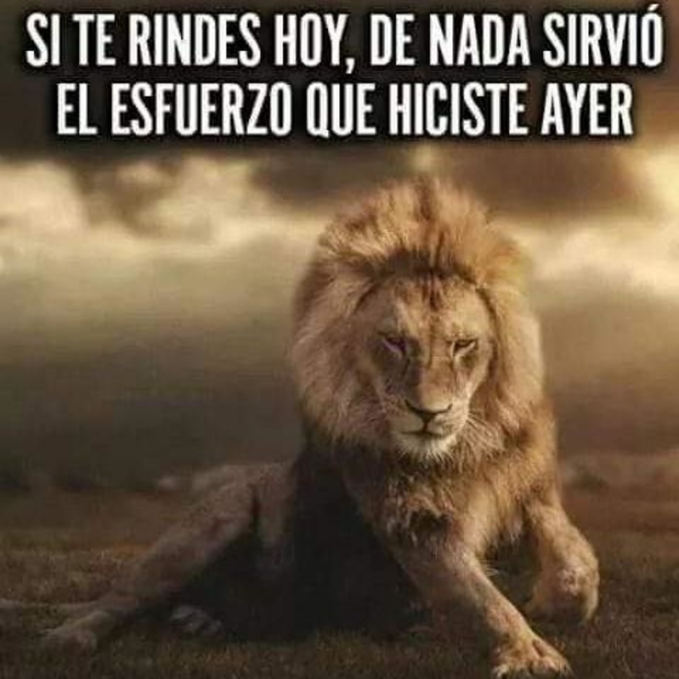 GrupoHinode Colombia