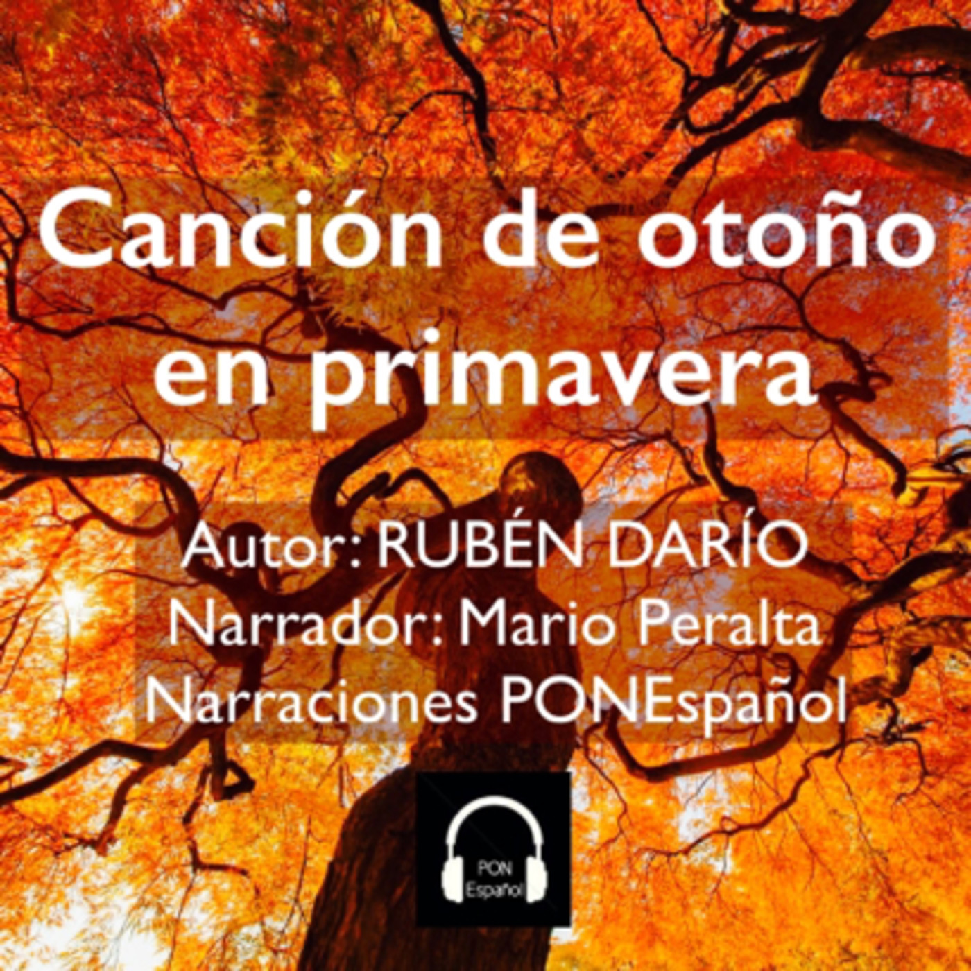 PONEspañol Narraciones