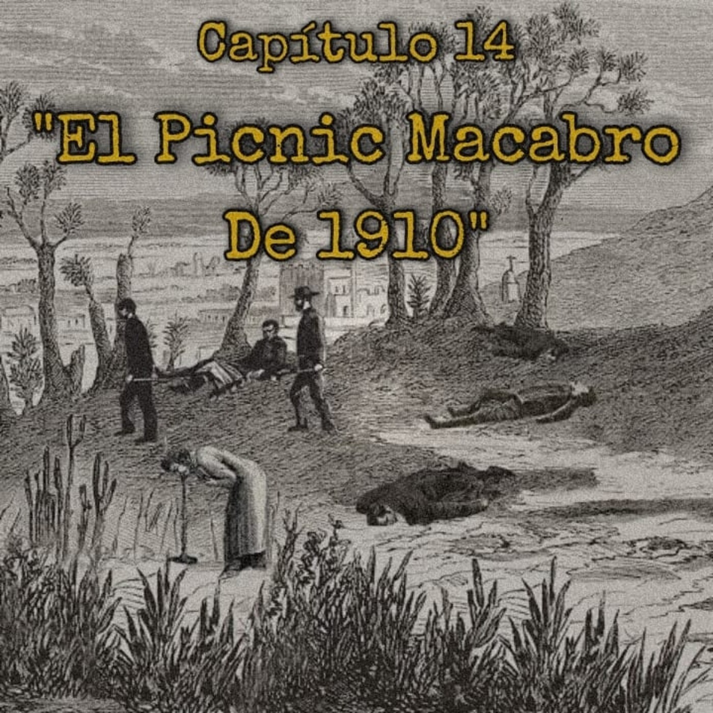 Voces de un País