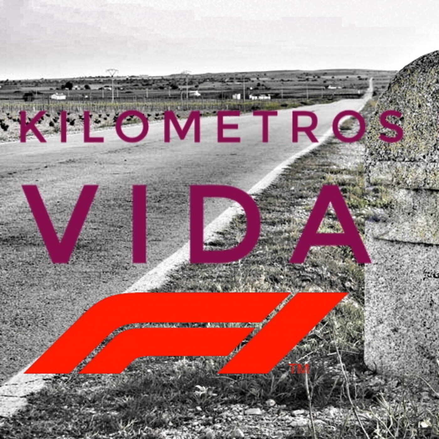 Kilómetros de Vida