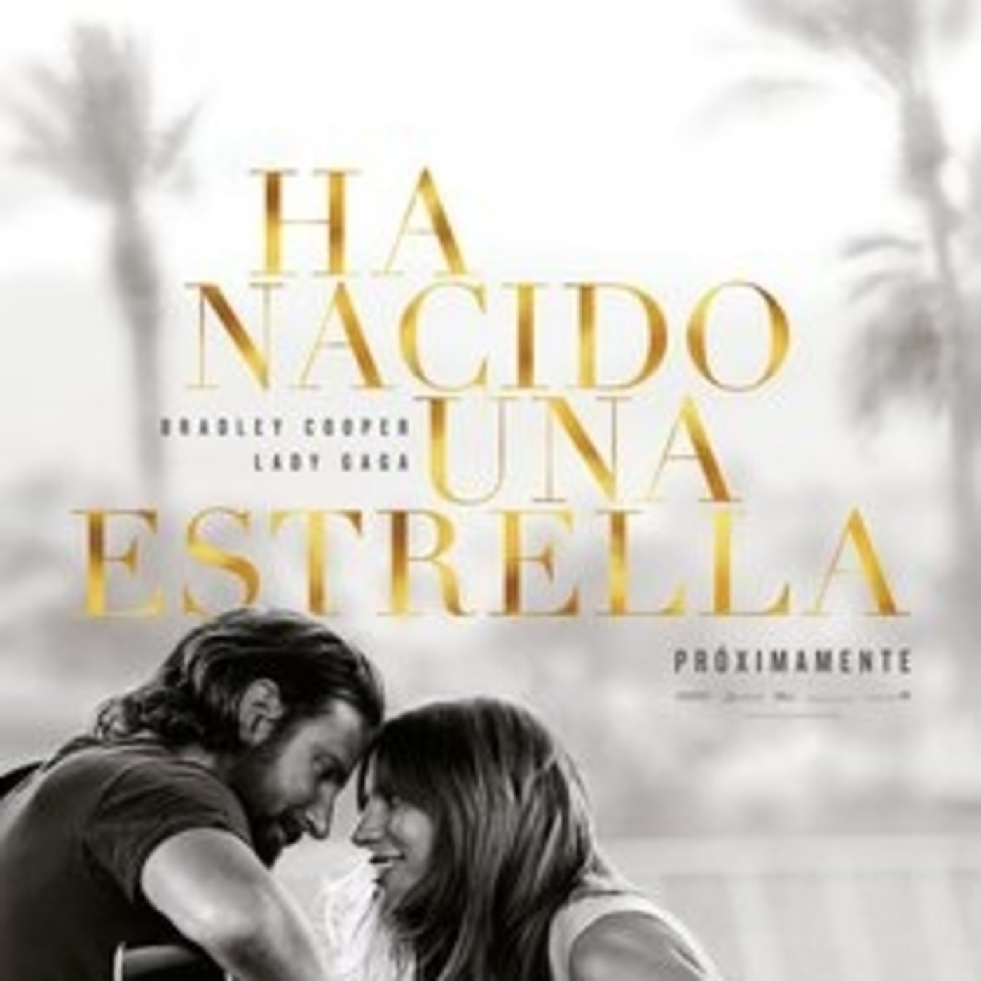 La Alfombra Roja 2018/2019